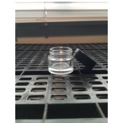 10g clear glass jar-Jars and Tins-WTF Lab