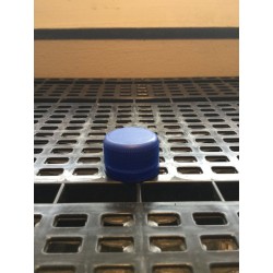 Blue Screw Cap Tamper Evident 28mm-28mm-WTF Lab