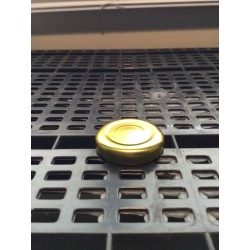 Gold TE Screw Cap 37mm-Caps and Closures-WTF Lab
